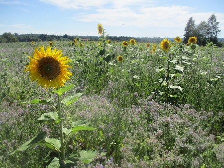 Egalement en septembre ...